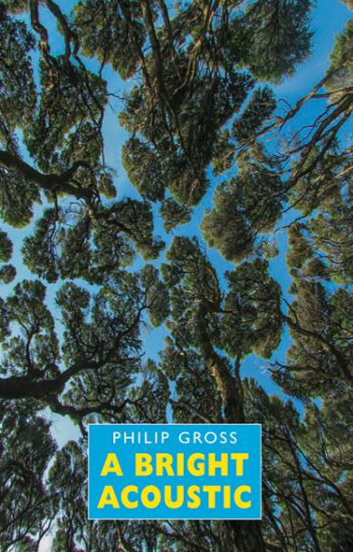 philip-gross-a-bright-acoustic